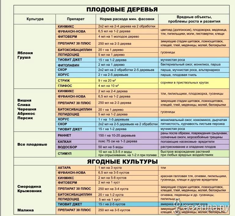 Когда можно обрабатывать деревья. Схема опрыскивания плодовых деревьев весной. Таблица обработки от вредителей и болезней сада болезней. Таблица опрыскивания плодовых деревьев. Схема обработки плодового сада.