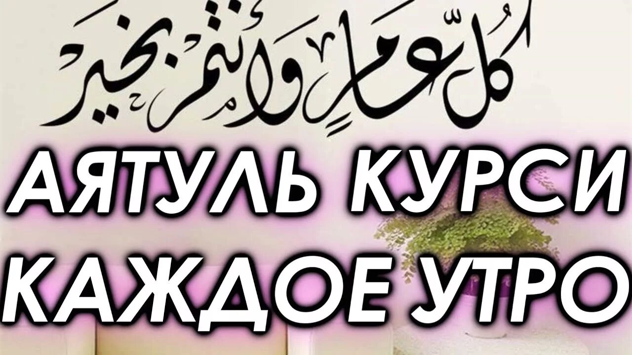 Коран сура аятуль курси. Аят Аль курси. Аятуль курси каждое утро. Оятал курси. Аятуль курси фото.