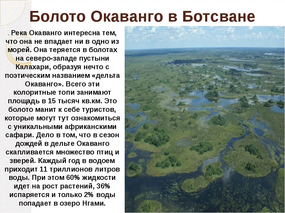 Болото конспект урока. Доклад про болото. Болота доклад. Болото презентация. Болота России.