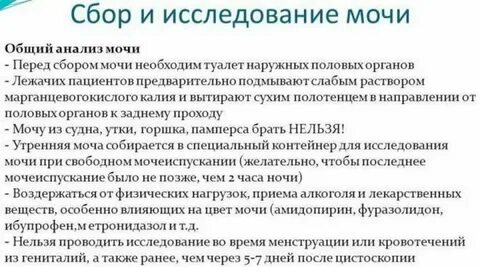 Анализы для почек и мочевого пузыря