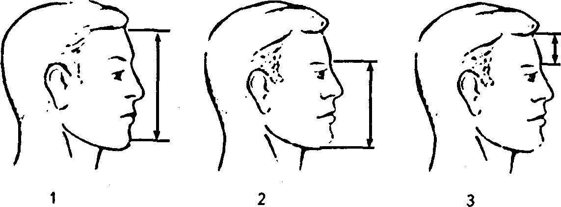 Норма лба. Антропометрические костные точки и ориентиры лица. Антропометрические точки габитоскопия. Физиономическая высота лица. Морфологическая высота лица.