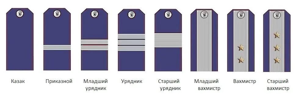 Царские казачьи звания. Младший вахмистр погоны донское казачество. казачьи звания всевеликого войска донского чины. погоны вахмистра кубанского казачьего войска. младший урядник погоны казачьи.