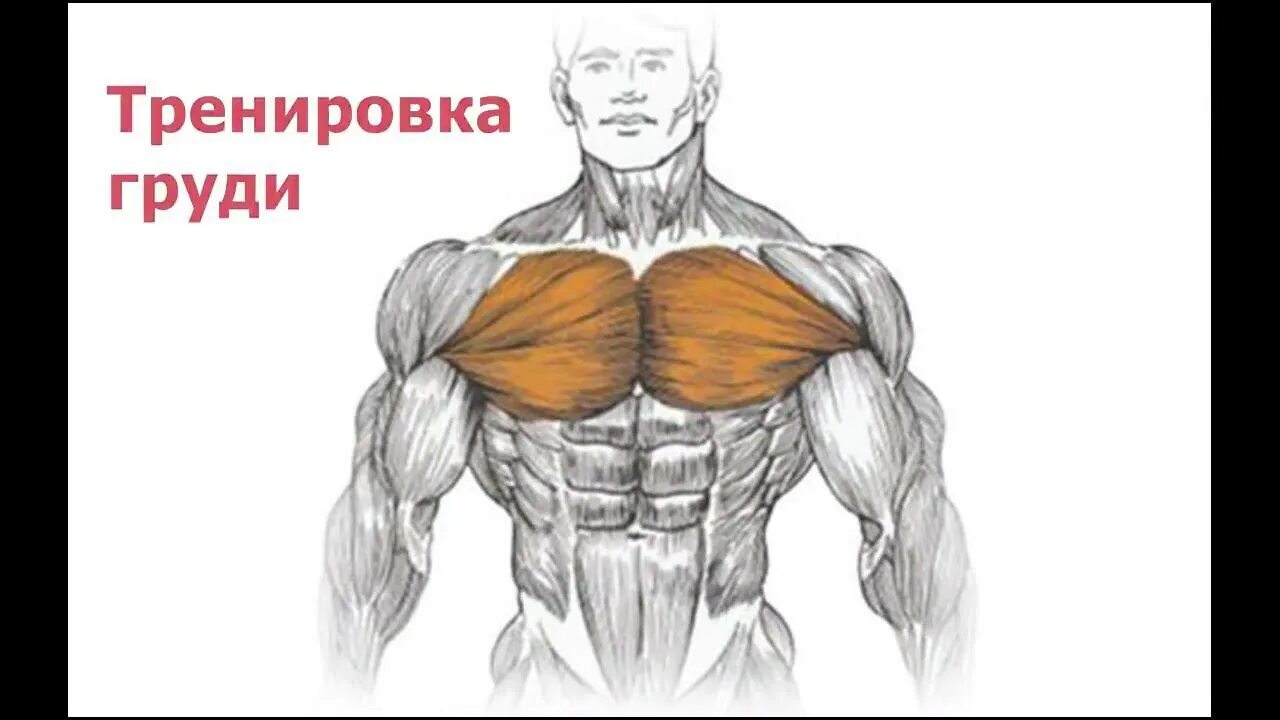 Домашнее упражнение для грудных мышц. Прокачка верха грудных мышц гантелями. Как быстро накачать грудные мышцы мужчине. Упражнения с гантелей на грудные мышцы в домашних условиях. Как быстро накачать грудные мышцы мужчине.