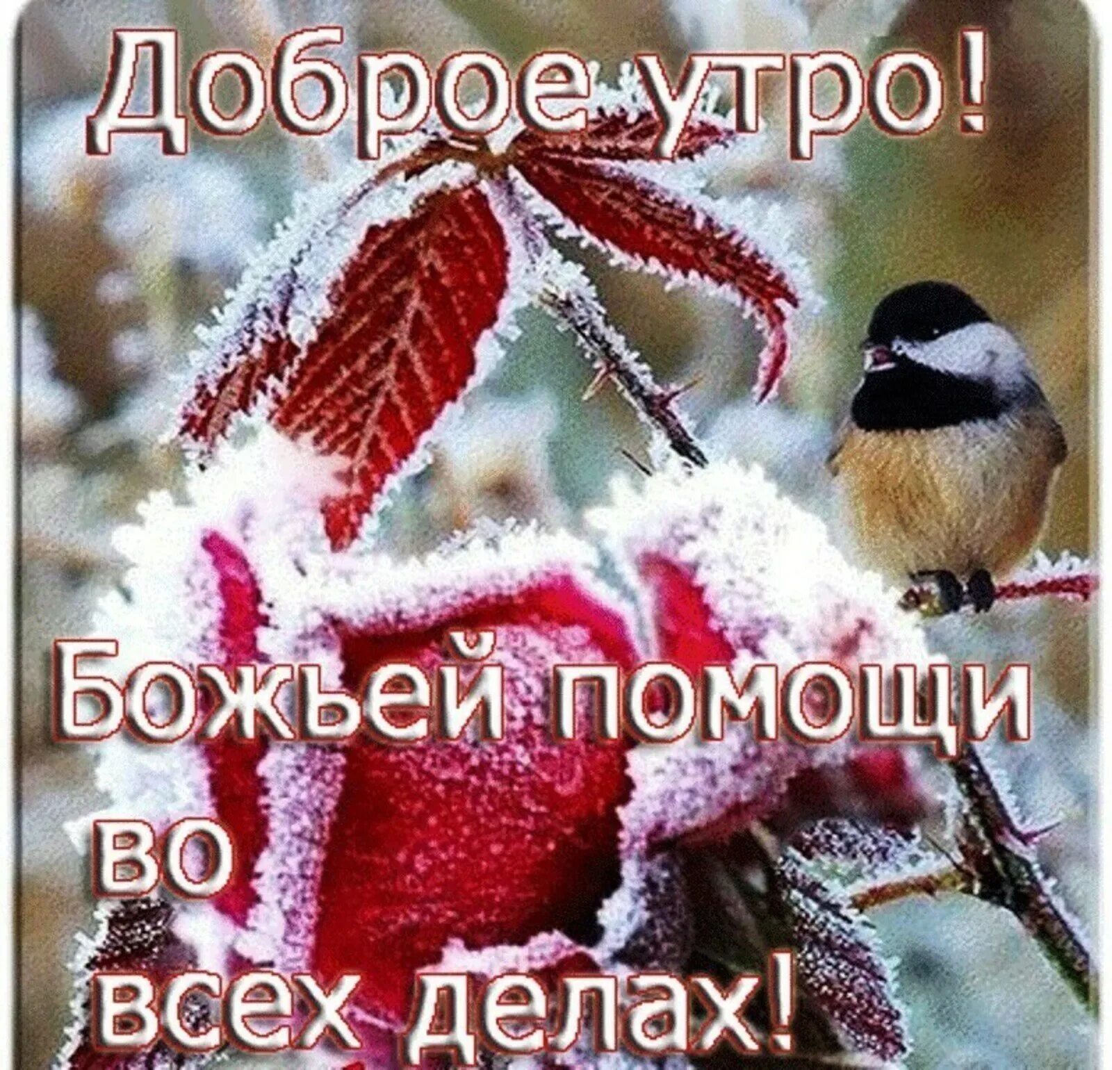 Доброго утра снежного и хорошего. Зимние поздравления с добрым утром. открытки с добрым зимним утром и хорошим настроением. зимние поздравления с добрым днем. доброго зимнего дня.