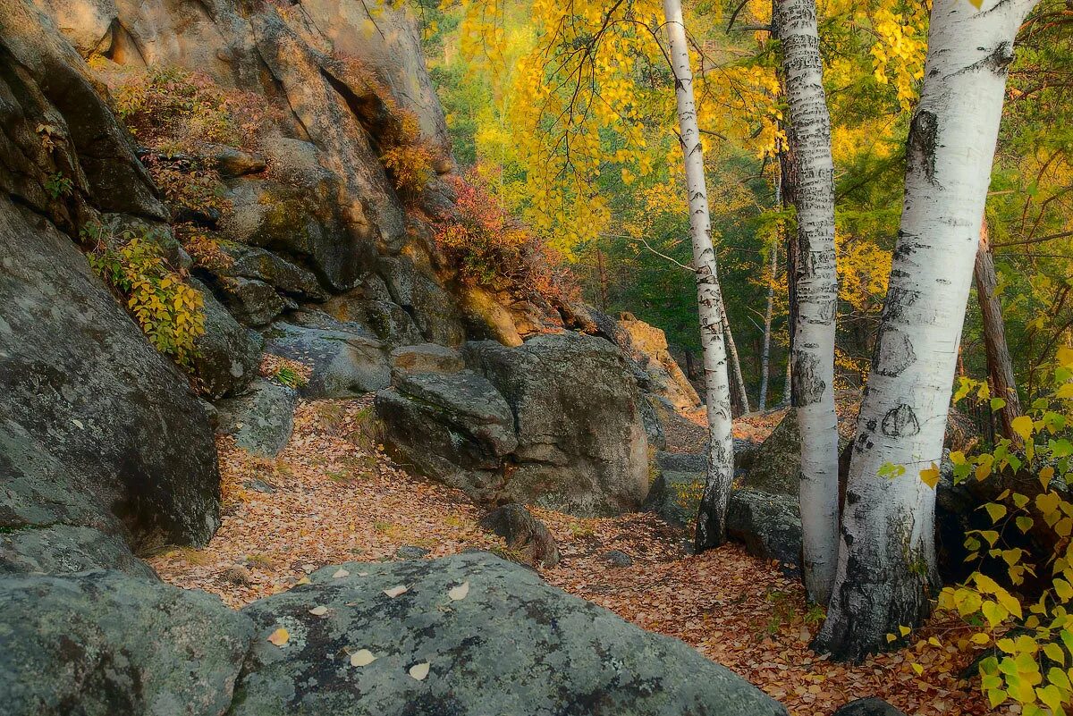 Забайкалье золотое. Никишиха в ингоду. Забайкалье золотое. Осень название. Река ингода в забайкальском крае.