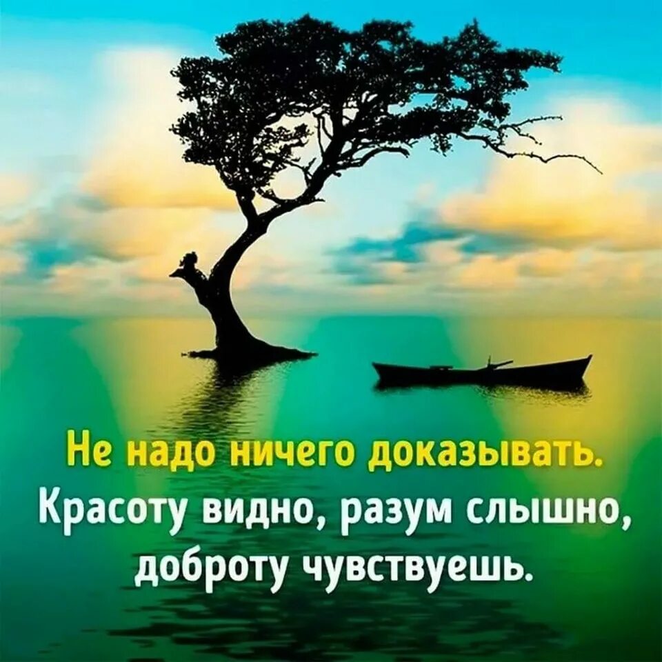 Жизни фраза картинки. Мудрые мысли. Умные мысли и высказывания. Афоризмы в картинках. Интересные высказывания в картинках.