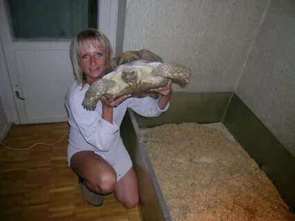 Черепаха какает