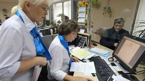 Пфр трудоустройство