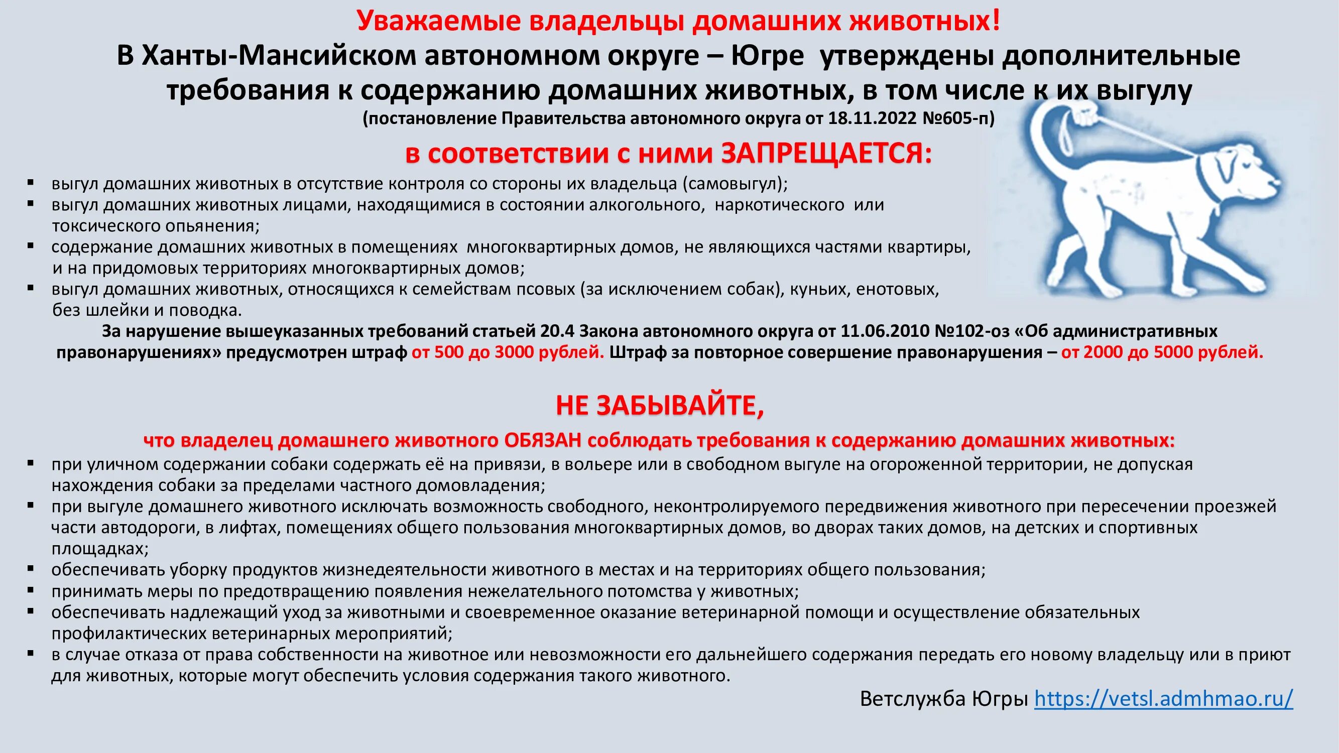 Дополнительные требования к содержанию животных. Уважаемые владельцы домашних животных. памятка для владельцев домашних животных. требования к содержанию домашних животных. правила выгула домашних животных.