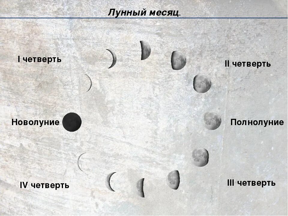 Время молодого месяца. Фазы Луны. Лунный календарь схема. Фазы Луны новолуние. Растущая Луна схема.