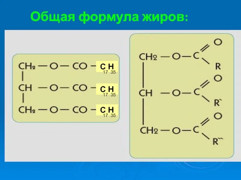 Формула растительных жиров. Структурная формула жиров. Общая структурная формула жиров. Общая формула молекулы жира. Строение жира формула.