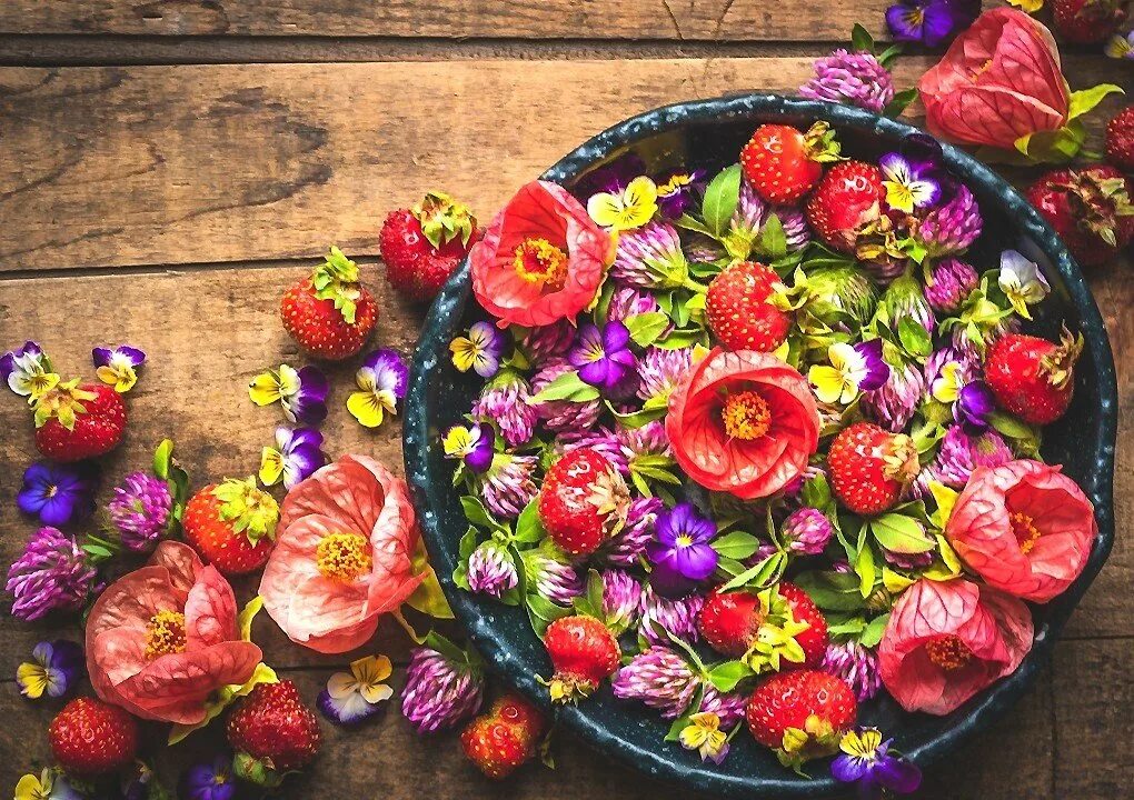 Strawberry flowers