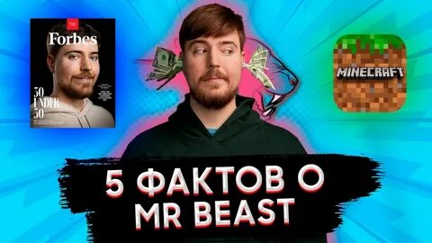 Факты о мистере бисте