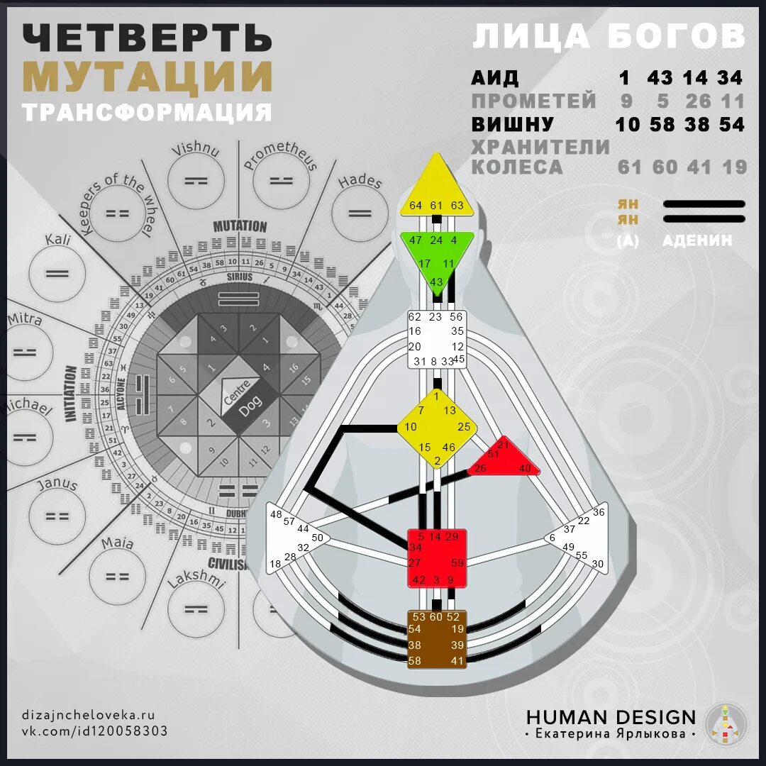 Мотивация дизайн человека. Четверть цивилизации дизайн человека. Четверти в дизайне человека. Бодиграф дизайн человека. Четверть мутации дизайн человека.