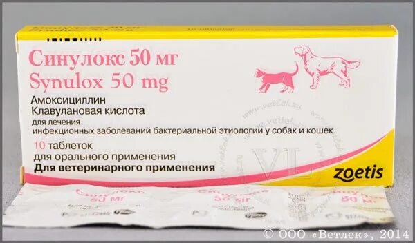 Амоксициллин можно давать коту