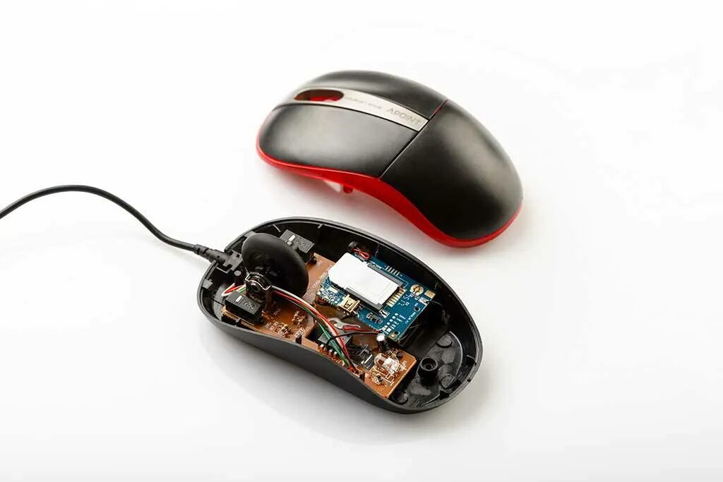 Внутренняя мышь. Мышь Logitech Wireless Mouse m310. Rtm019 компьютерная мышь. A4tech model:f4 мышь компьютерная.. Мышь компьютерная (26.20.16.170-00001).