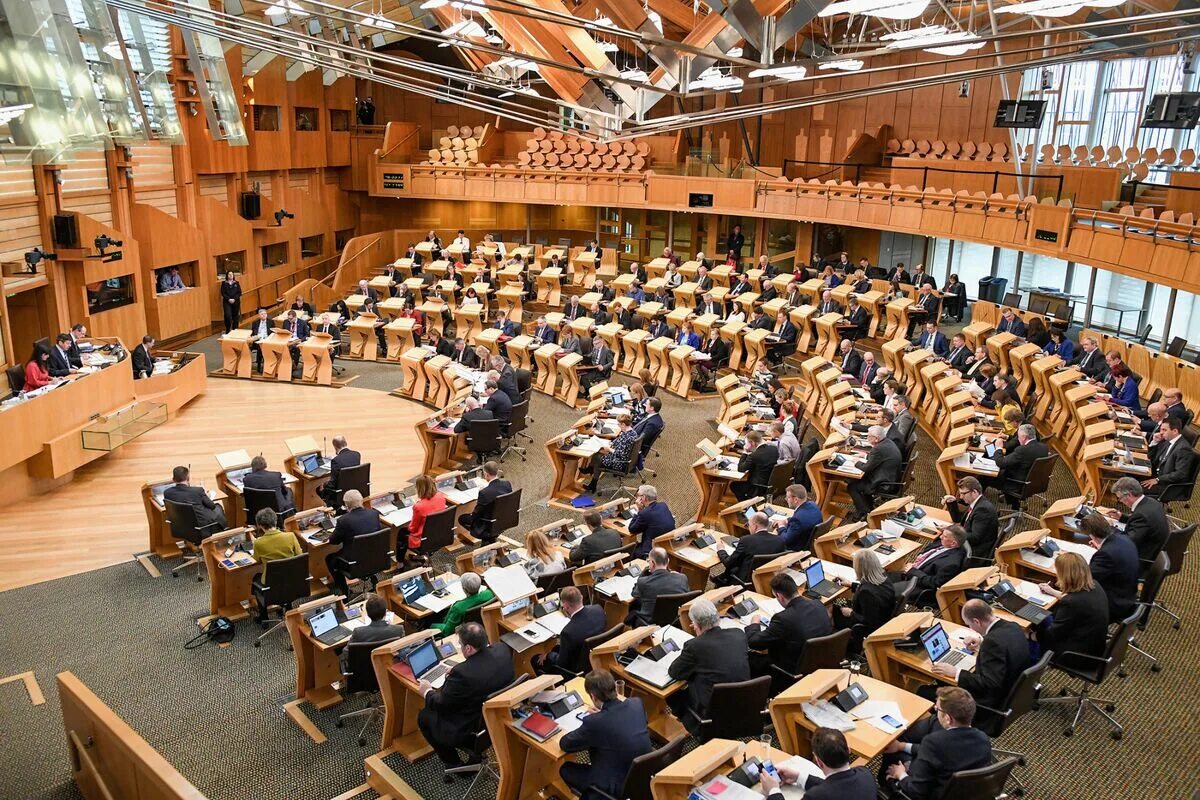 Что исполняет парламент. Парламент 2000 г. парламент 93. парламент имре штейндля. парламент коричневый.