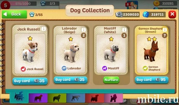 Игра вырасти питомца в яйце. Энимал зоо игра. Приложение где выращивают питомца. Вырастить питомца. Холидей игра ферма.