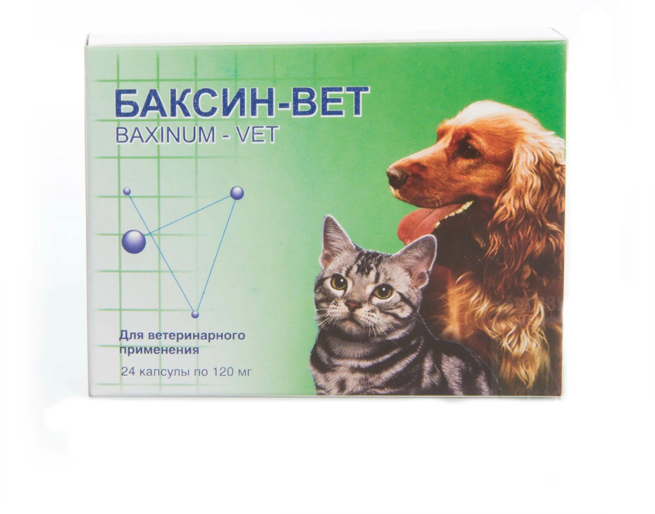 Винсувет для собак. Баксин вет препарат. Баксин капсулы. Баксин вет для собак. Баксин для кошек.