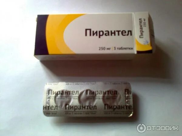 Пирантел для щенков. Пирантел 250 для детей. Таблетки от глистов пирантел. Гирудотекс. Пирантел» (польфарма, польша).