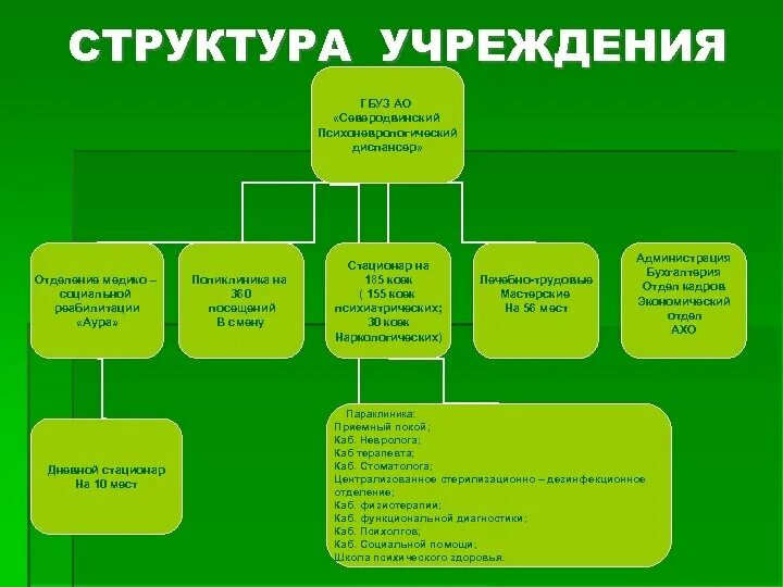 Структура диспансера. Структура диспансера
