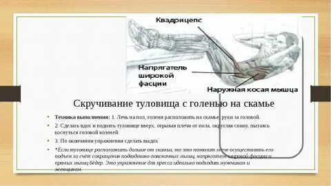 1 подъемы туловища подъемы туловища