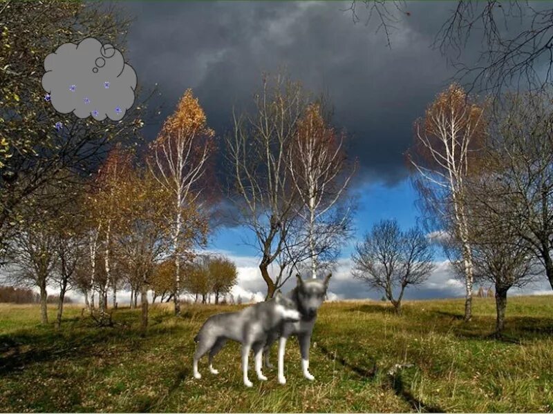 Почему ноябрь пегий. Почему ноябрь пегий. Н сладков почему ноябрь пегий текст. Книга сладков бежал ёжик по дорожке. Н сладков почему ноябрь пегий.