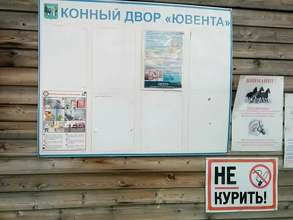 Конный двор ювента тропаревская ул вл6 фото Проект "Давай ДруЖИТЬ!" исполнил мечту студентки Центра сопровождаемого проживан