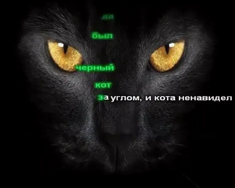 Черный кот караоке. Черный кот минус. Караоке в рыбацком. Чёрный кот браво текст. Караоке чёрный кот для детей.
