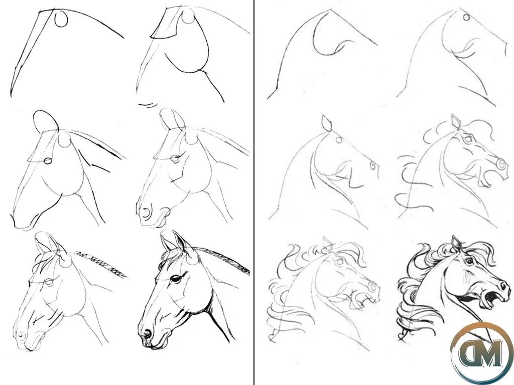 Лошадь рисунок карандашом. Рисование морды лошади. Пошаговое рисование лошади. Лошадь рисунок пошагово.