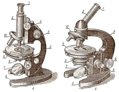 Микроскоптың құрылысы
