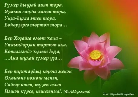 Яратыгыз туган илегезне