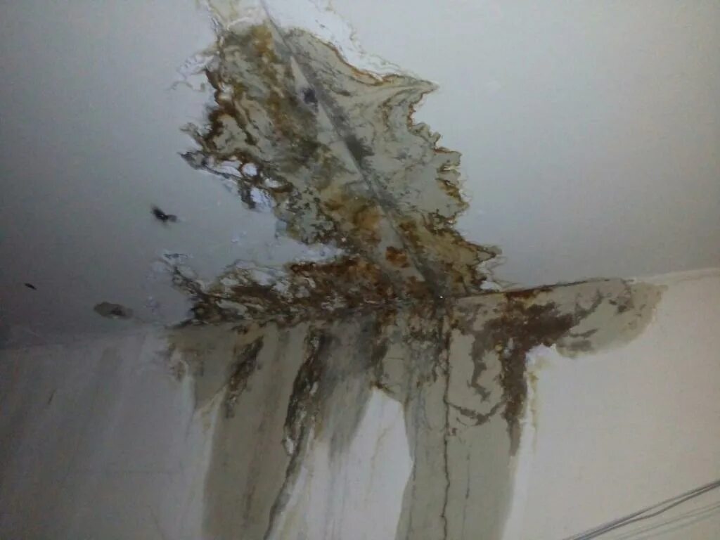 Водяной потолок. Крыша вода ремонт. Вода с потолка бежит. Протечка потолка. К чему снится протекает потолок.