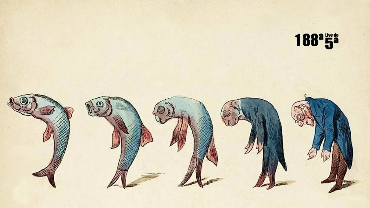 Жизнь в воде эволюция. Человек произошел от рыбы. Эволюция человека от рыбы. Человек произошел от дельфина. Эволюция рыб.