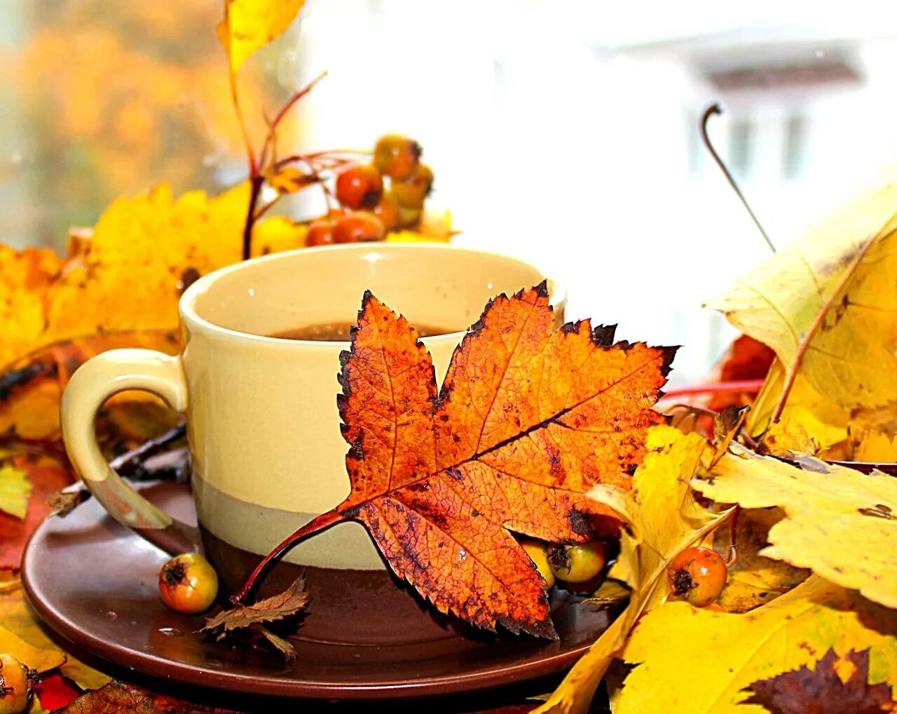 осенние ромашки доброе утро. на часах осень. будильник осень. сентябрьское солнце. осенние предметы.