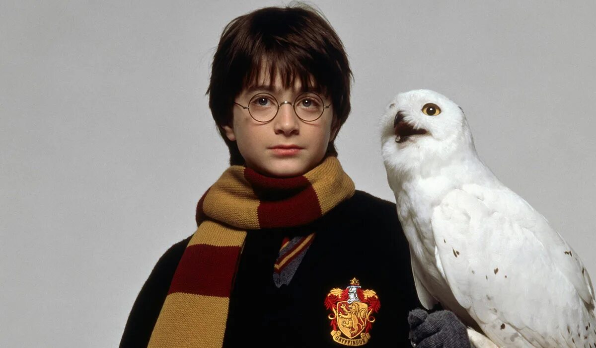 гарри поттер для печати. гарри поттер паттерн. Harry potter day. открытка гарри поттер с днем рождения. гарри поттер красивые картинки.