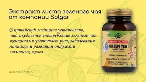 Экстракт листа зеленого чая