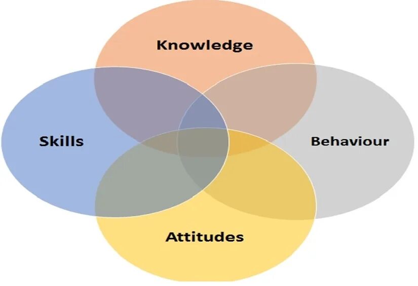 Intercultural competence. Knowledge skills. Elements of Intercultural competence. Linguistic competence. Culture unit