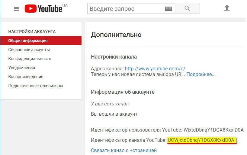 Как определить видео ютубе
