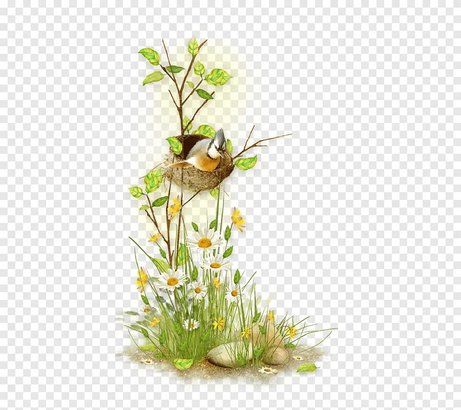 Plant nest. Природный фон на прозрачном фоне. Гнездо в траве рисунок. Птичка в гнездом в траве.