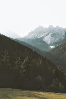 Песня за лесом горы горы