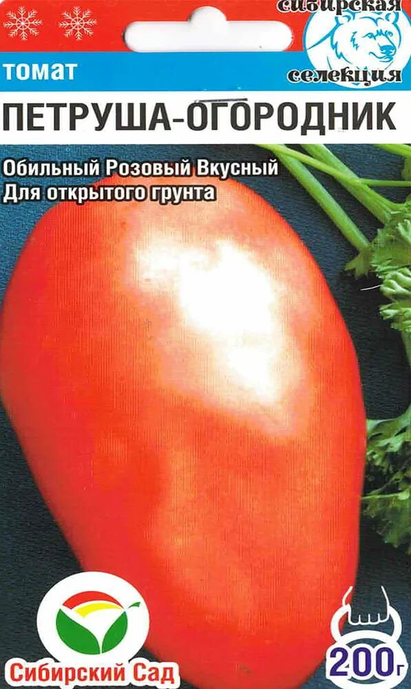 Помидоры огородник описание. Семена помидоров петруша огородник. Сорт томата петруша огородник. Помидоры огородник описание. Сорт помидор петруша.