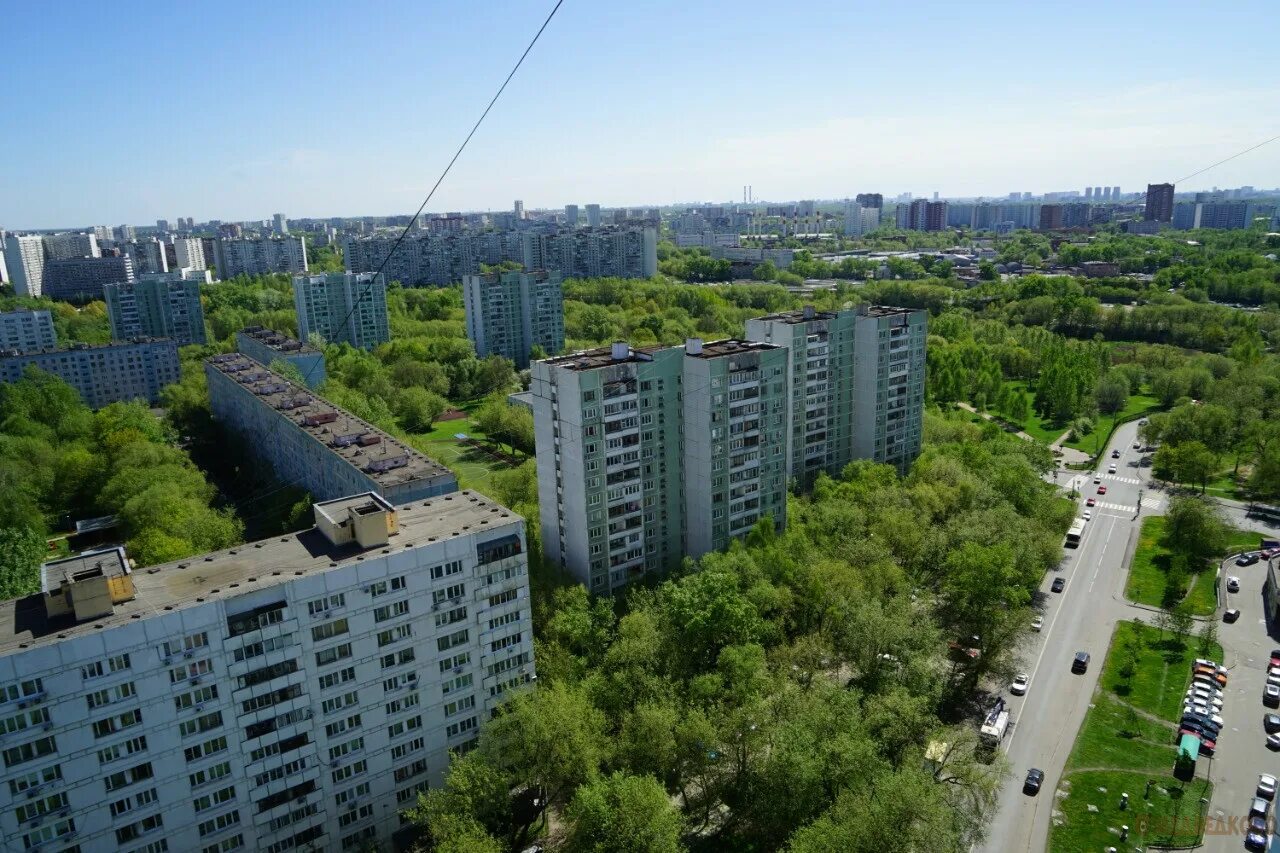 Заповедная улица Москва. Южное Медведково Заповедная 2. Северное Медведково. Заповедная 18к4. Бабушкинская свиблово медведково