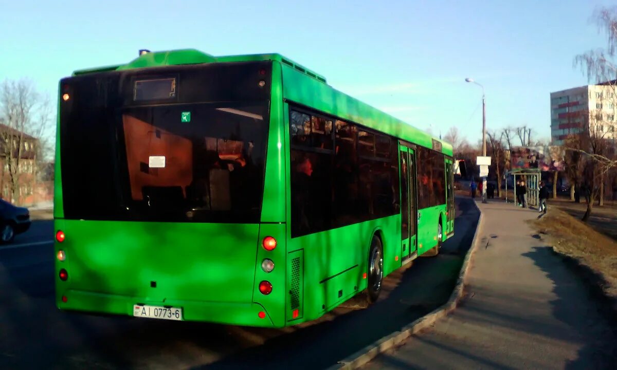169 автобус колодищи. Маз-203. 169 автобус колодищи. 169 автобус колодищи. Маршрут автобуса 68 минск.