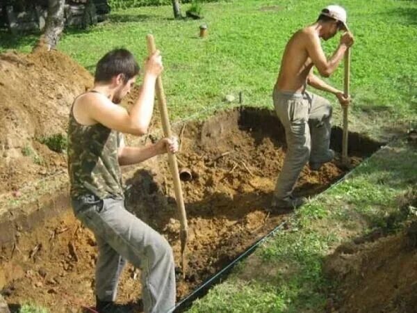 Для чего и как нужно перекапывать почву Garden tools, Plants, Spade shovel