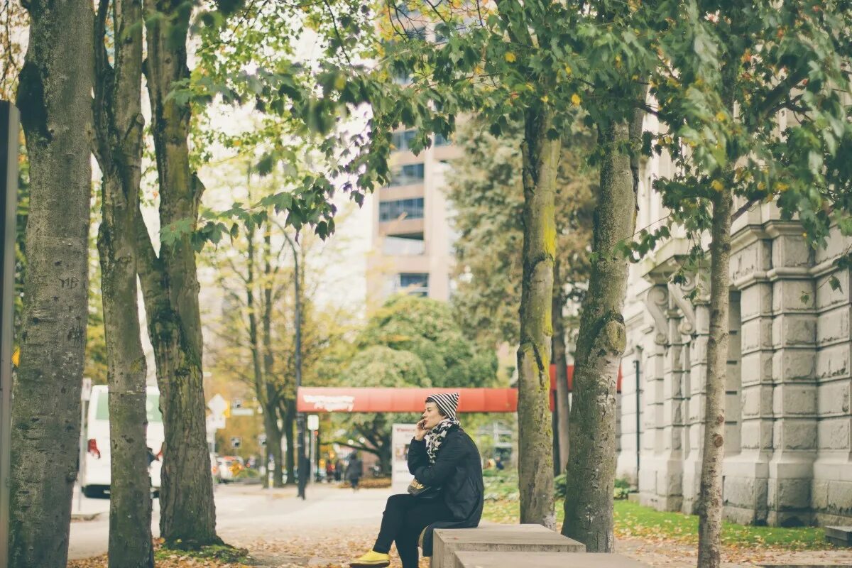 Жизнь деревьев в городе. Человек на скамейке. Люди на скамейке в парке. Чел на скамейке под деревом. Город деревья люди.