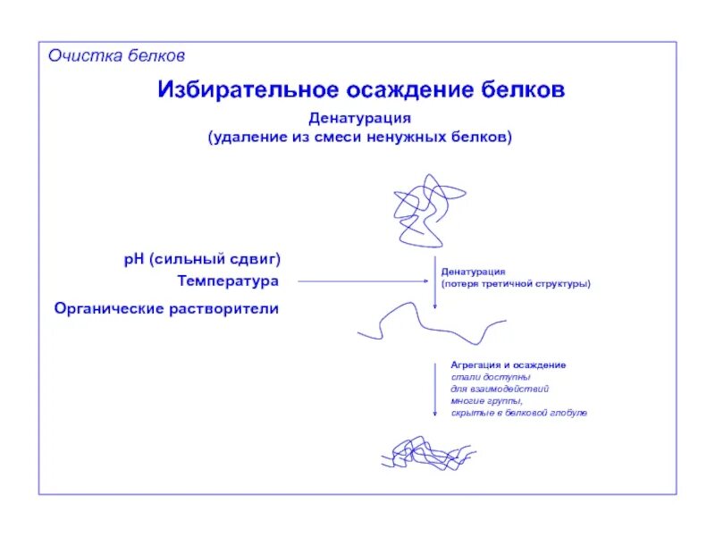 Методы очистки белков. Очистка белков избирательной денатурацией. Избирательная денатурация белков. Избирательное осаждение белков. Методы очистки белков избирательная денатурация.