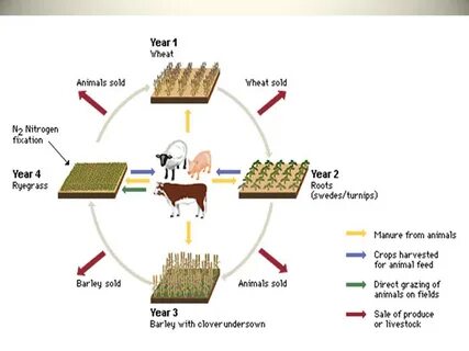 Course system