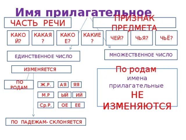 Кто что изменяется по родам и числам. Какие части речи изменяются по числам. Части неси изменяющиеся по родам. Имя прилагательное не изменяется по родам. Чей чья часть речи.