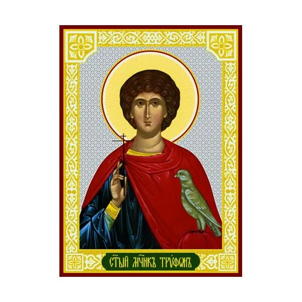 Слушать святого трифона. Икона св муч трифона.
